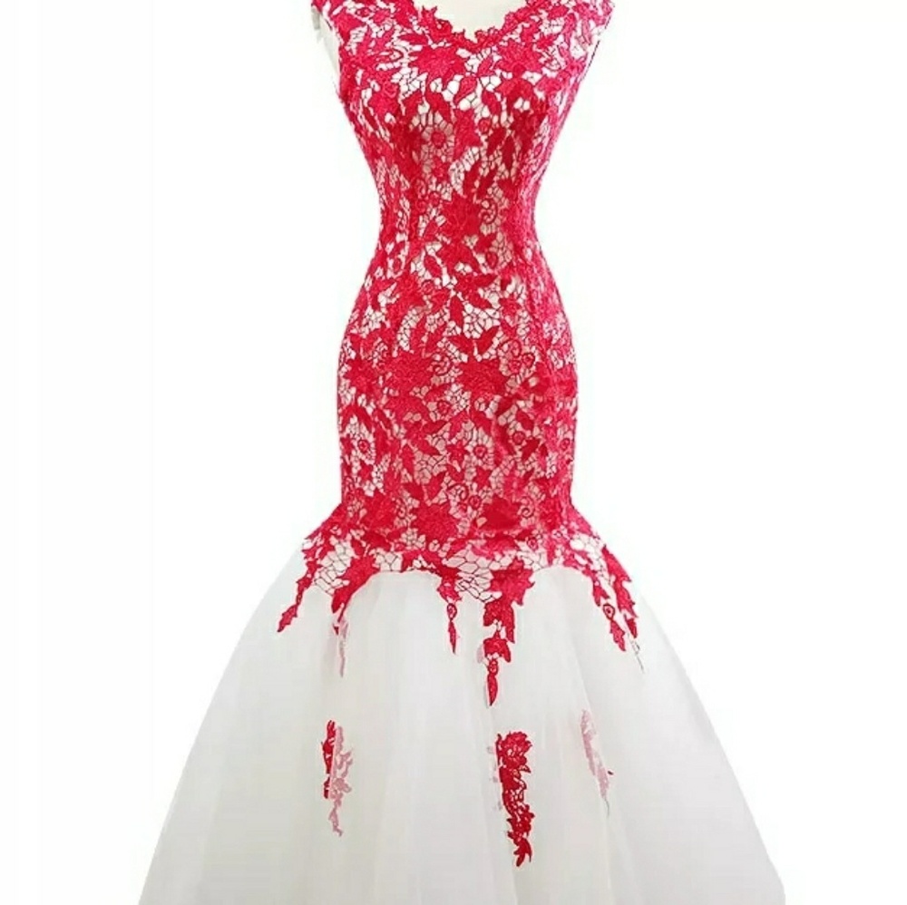 Plus Size Prom/Wedding Dress